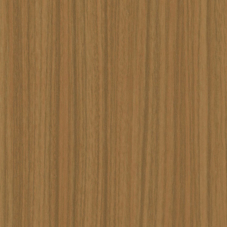 チップ画像
