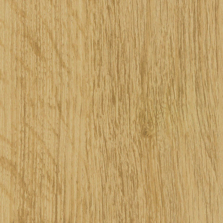 チップ画像