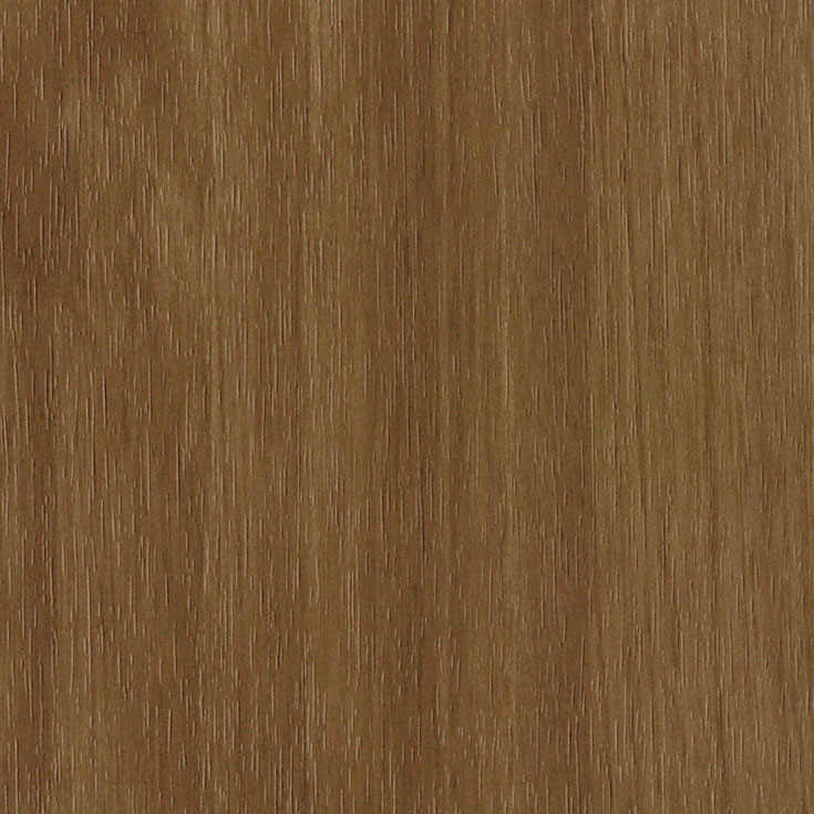 チップ画像