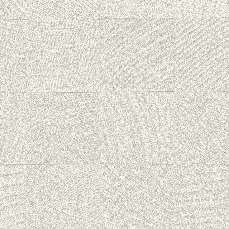 チップ画像