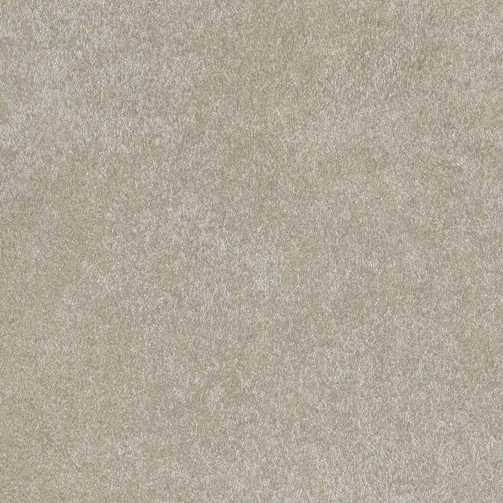 チップ画像