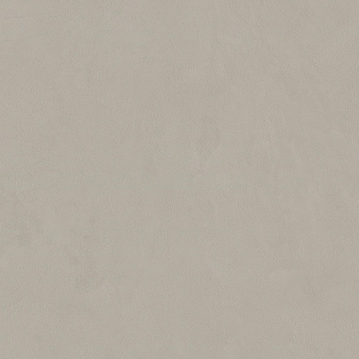 チップ画像