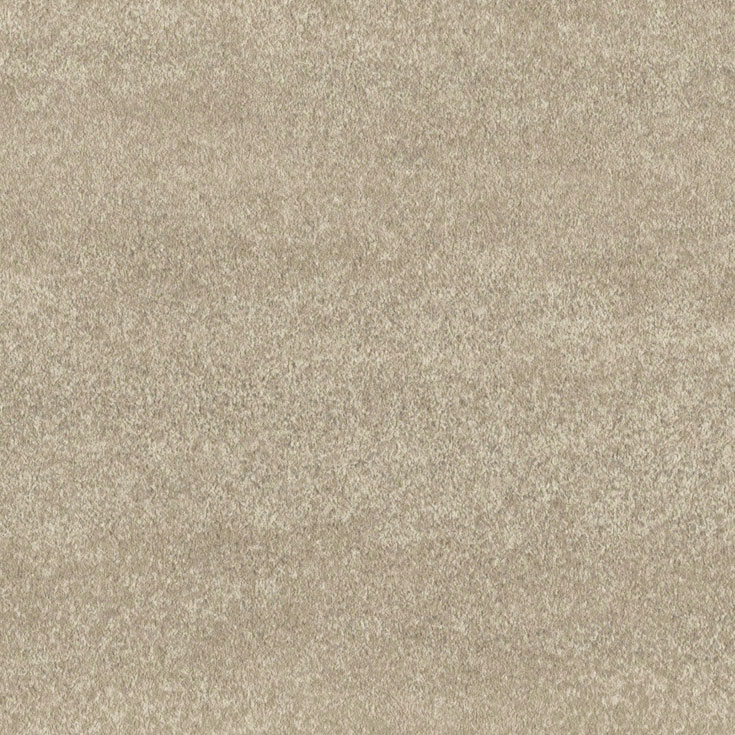 チップ画像