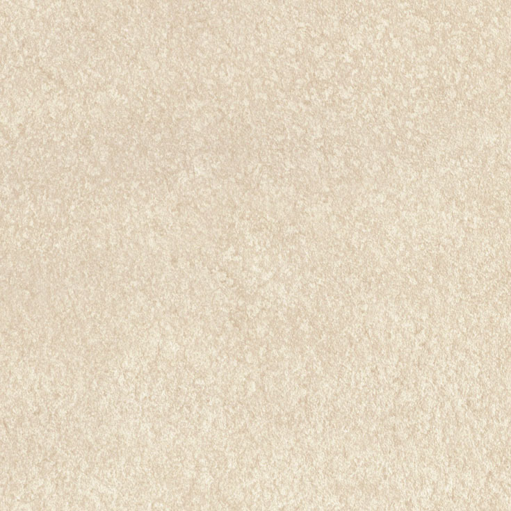 チップ画像