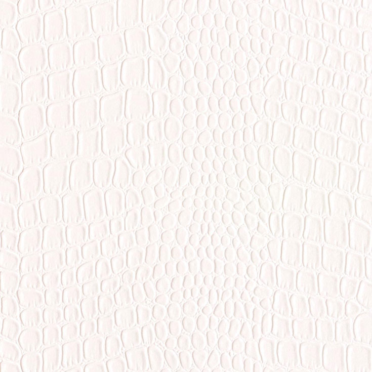 チップ画像