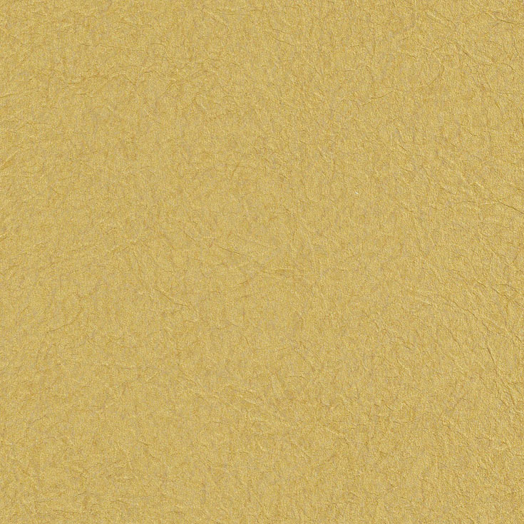 チップ画像