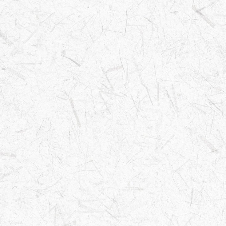 チップ画像