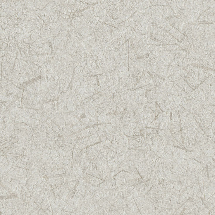 チップ画像