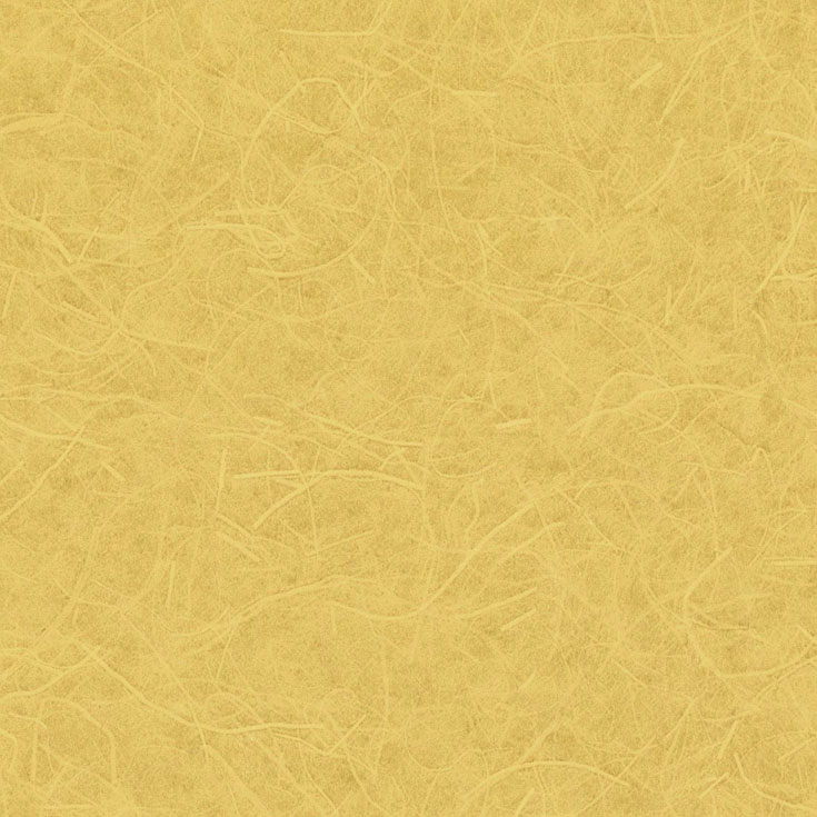 チップ画像