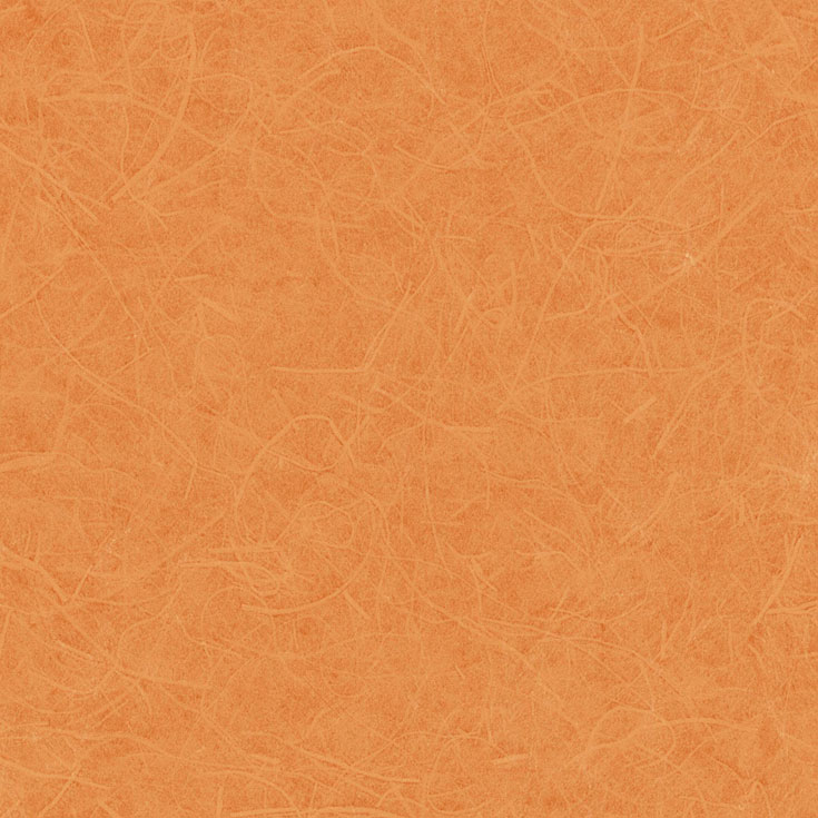 チップ画像