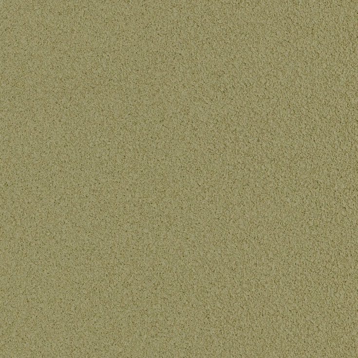 チップ画像
