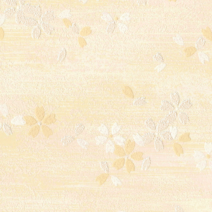 チップ画像