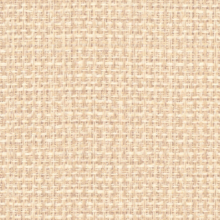 チップ画像