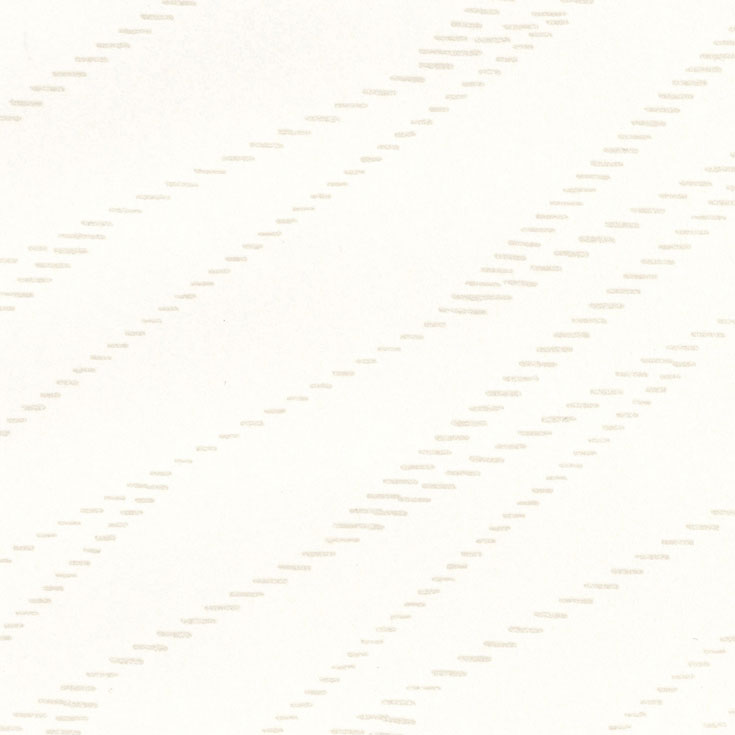 チップ画像