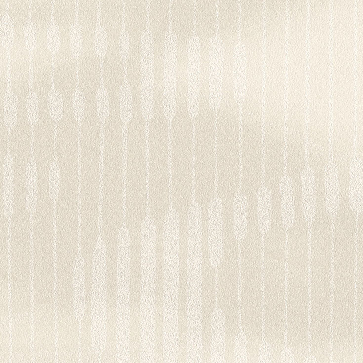 チップ画像