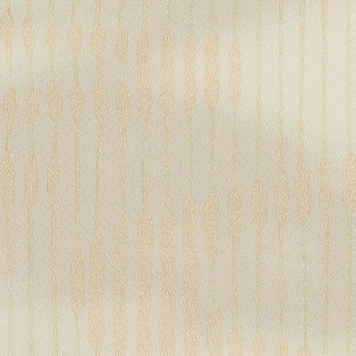 チップ画像