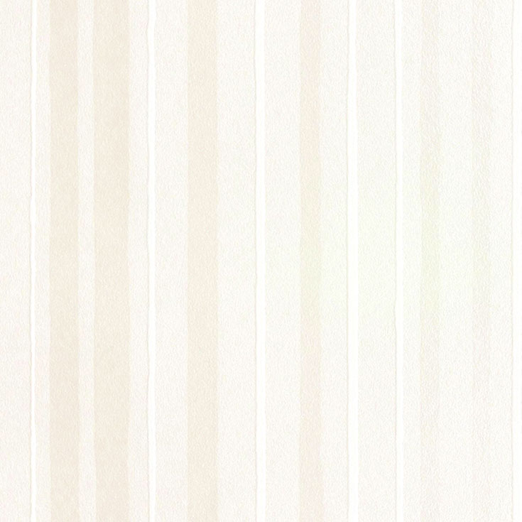 チップ画像