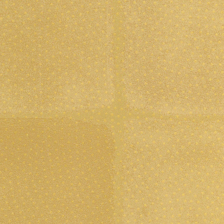 チップ画像