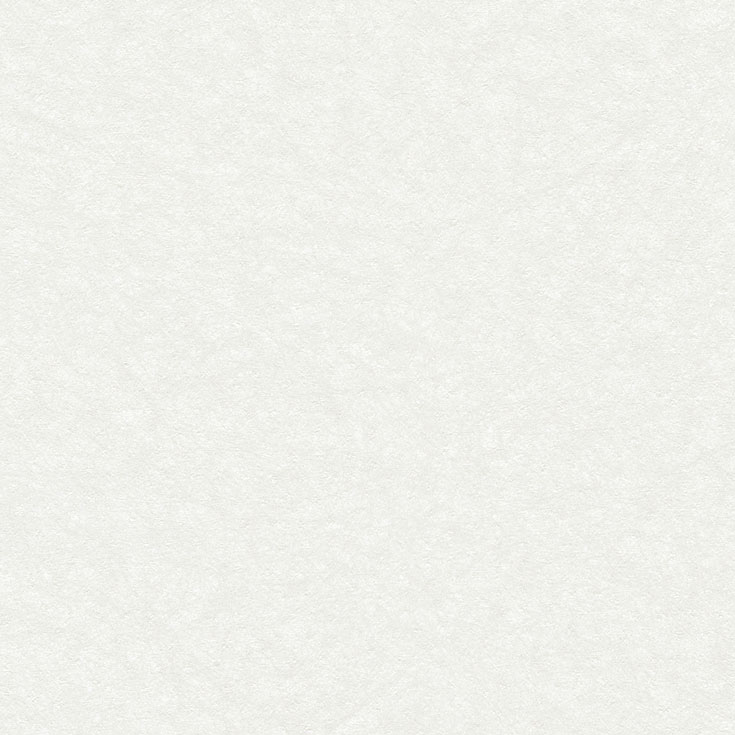 チップ画像