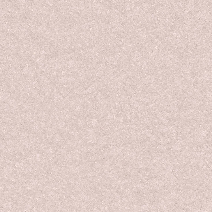 チップ画像