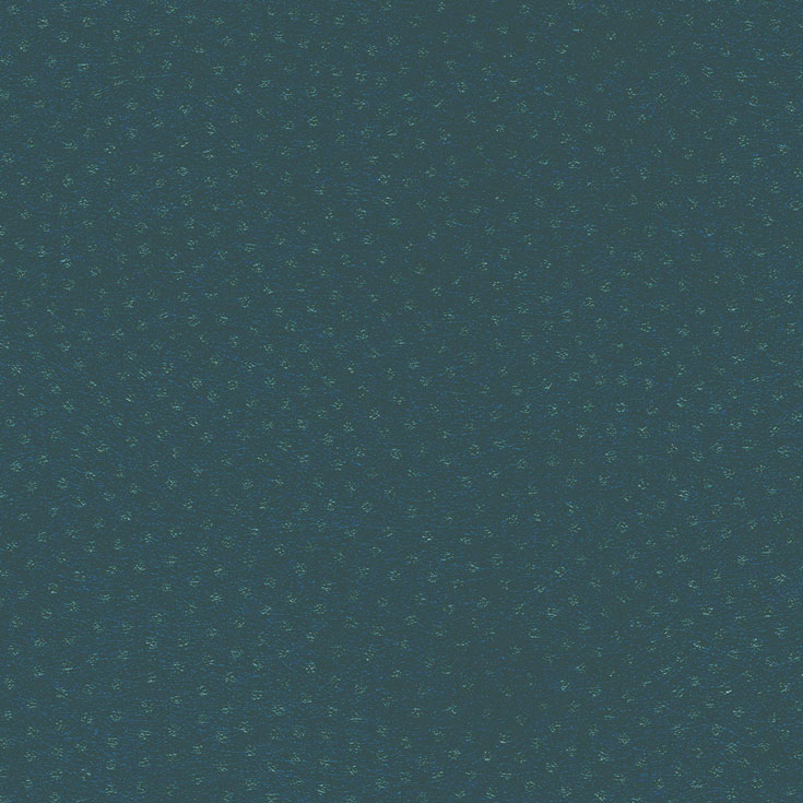 チップ画像