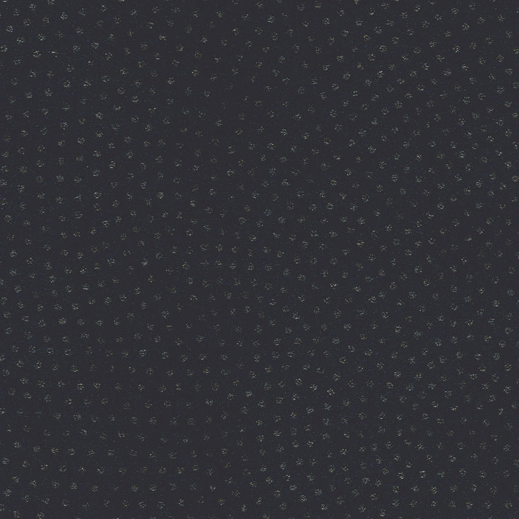チップ画像