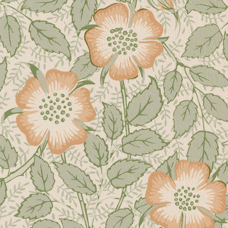 チップ画像