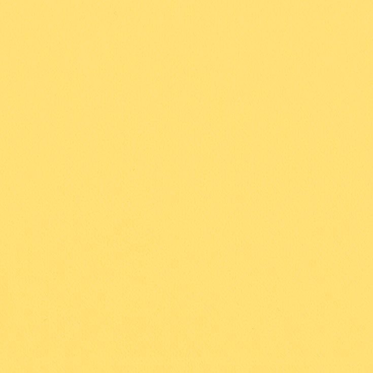 チップ画像