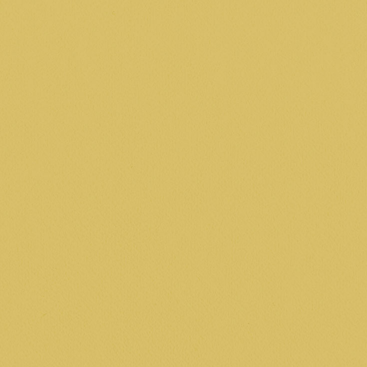 チップ画像