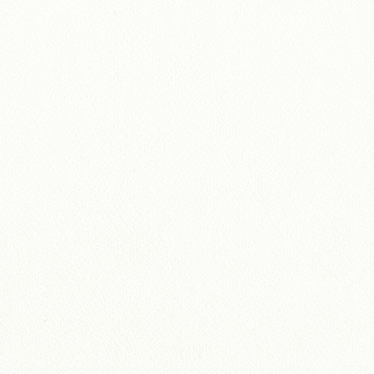 チップ画像