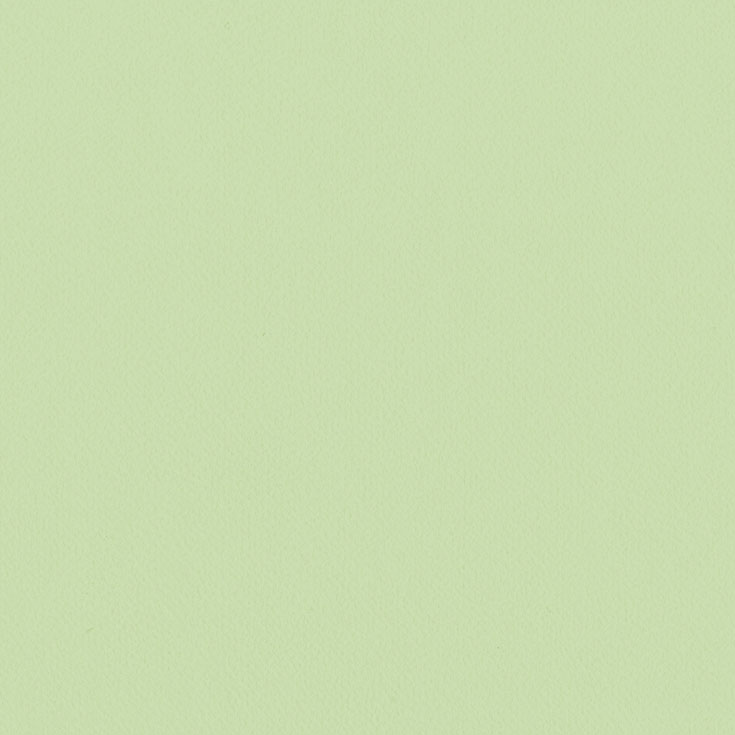 チップ画像