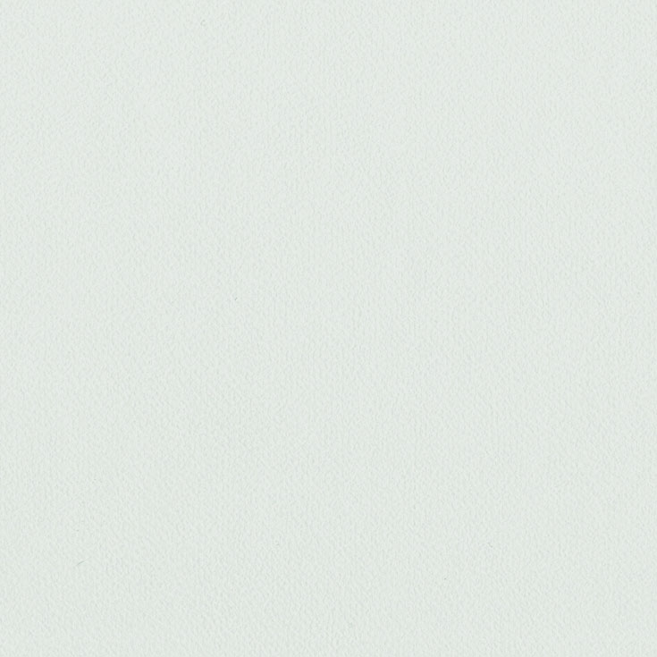 チップ画像