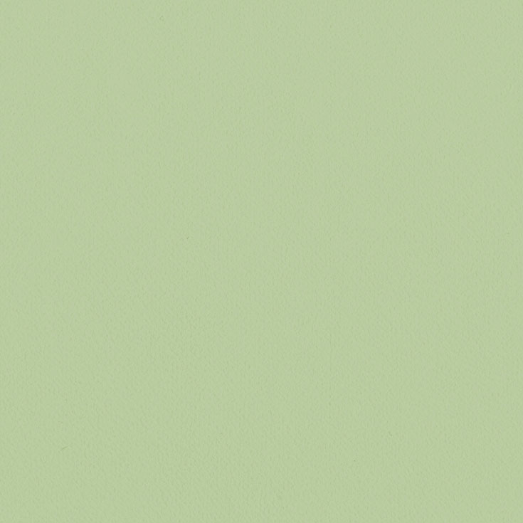 チップ画像