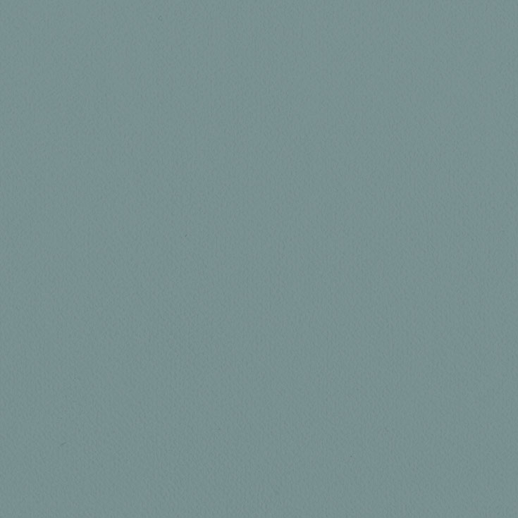 チップ画像