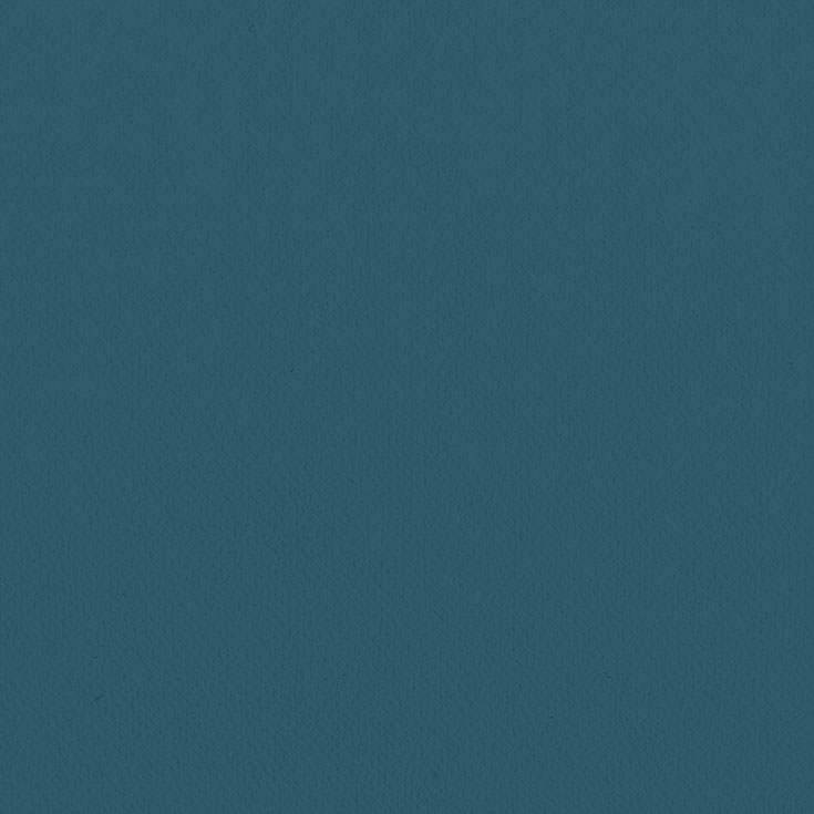 チップ画像