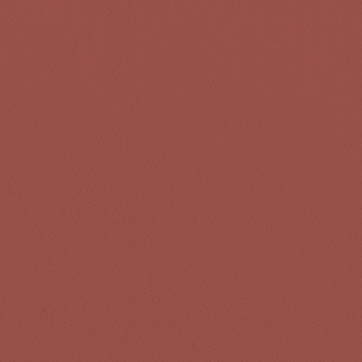 チップ画像