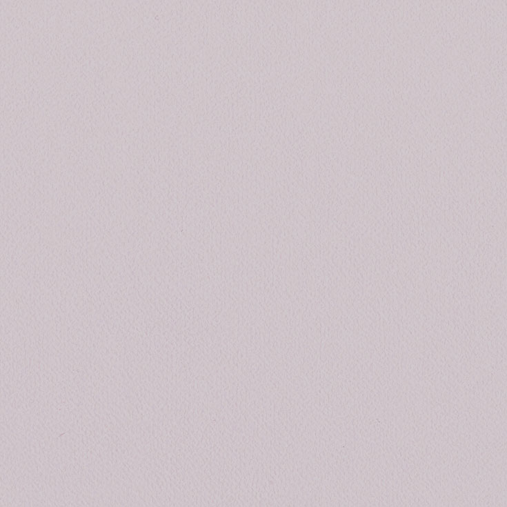 チップ画像