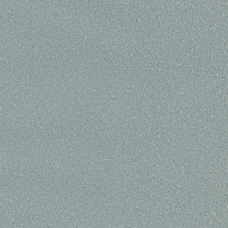 チップ画像
