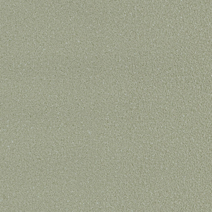 チップ画像