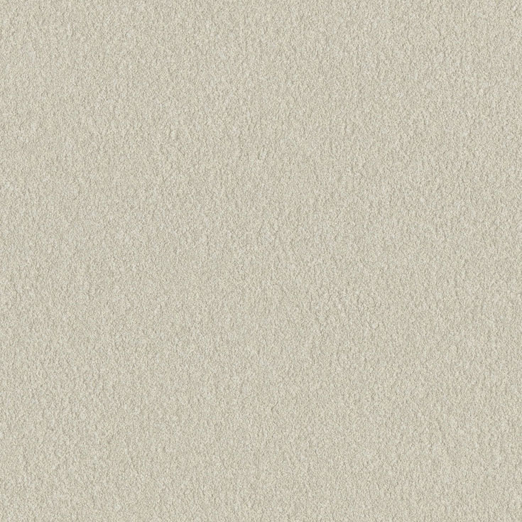 チップ画像