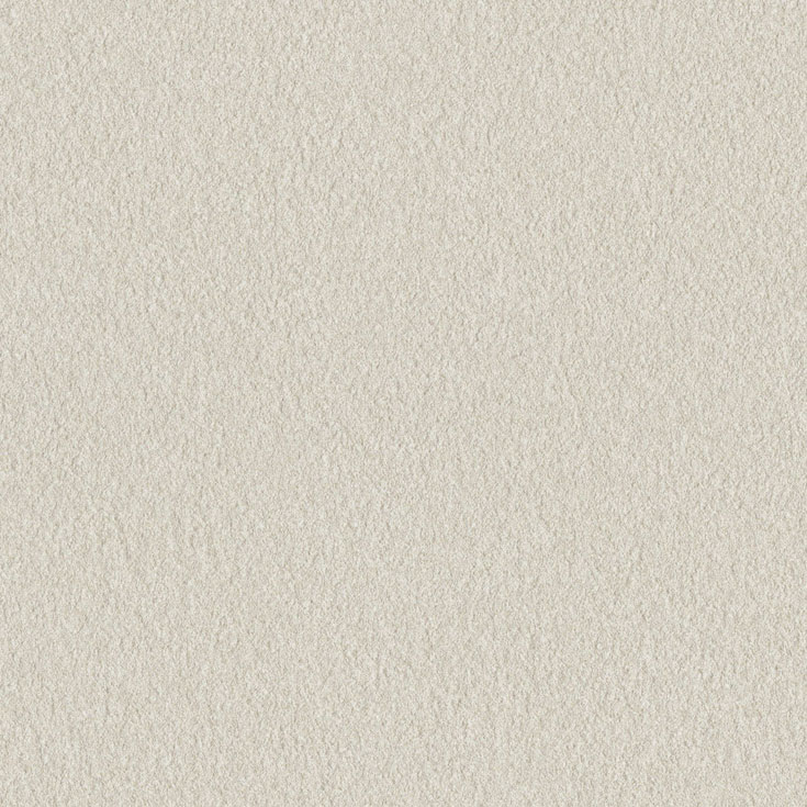 チップ画像