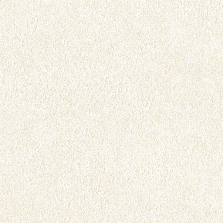 チップ画像