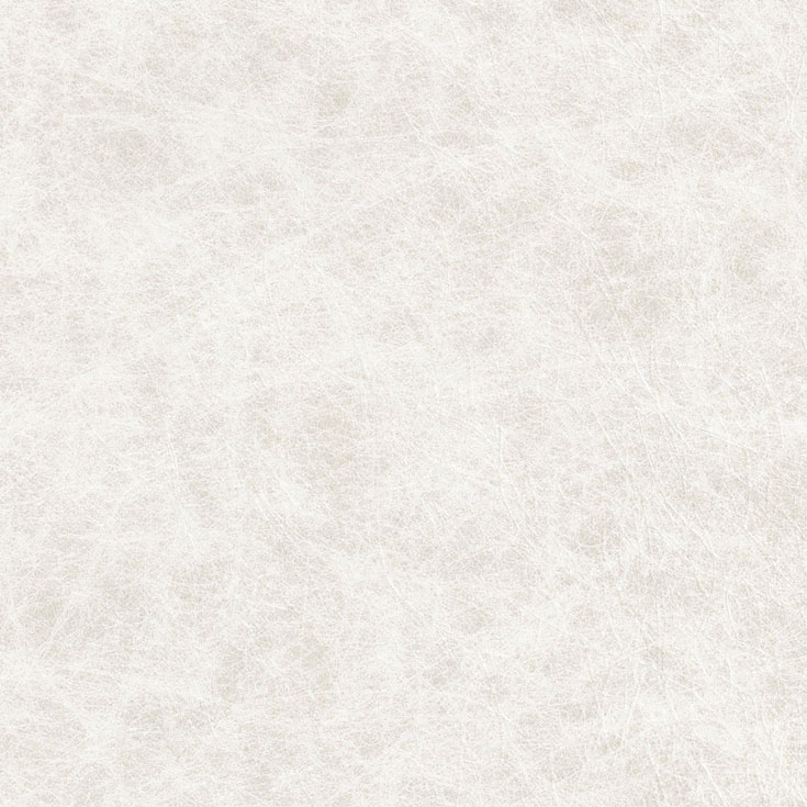 チップ画像
