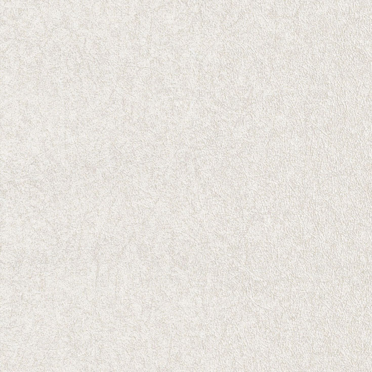 チップ画像