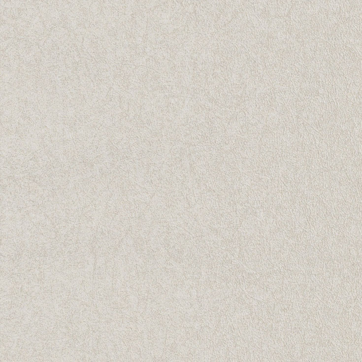 チップ画像