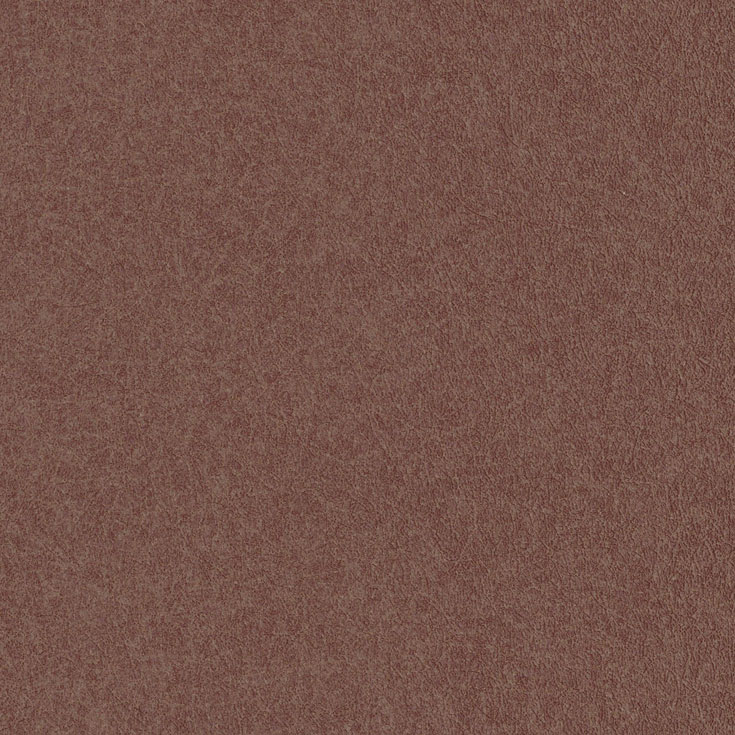 チップ画像