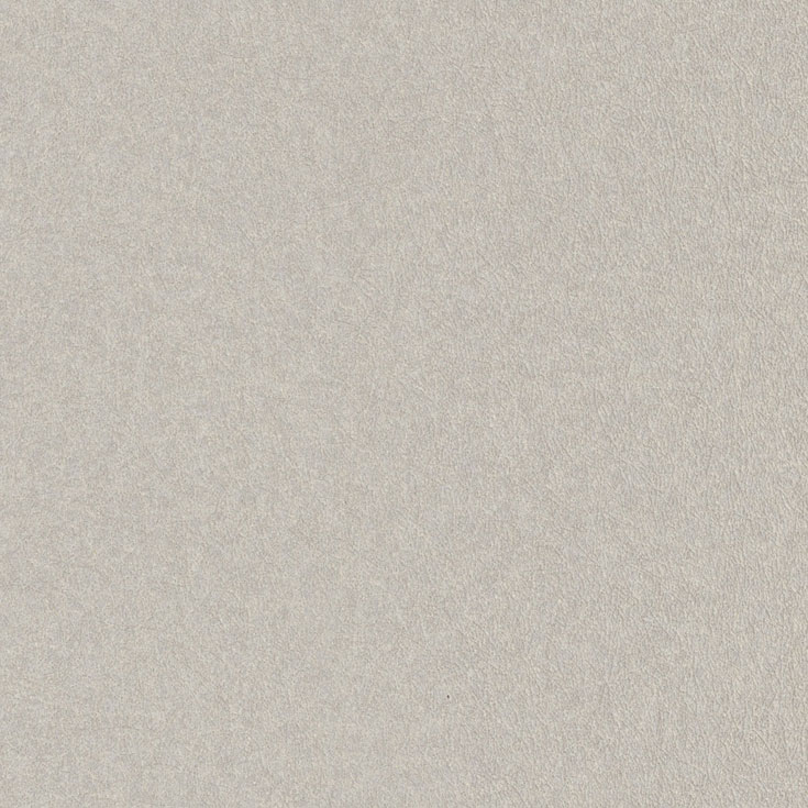 チップ画像
