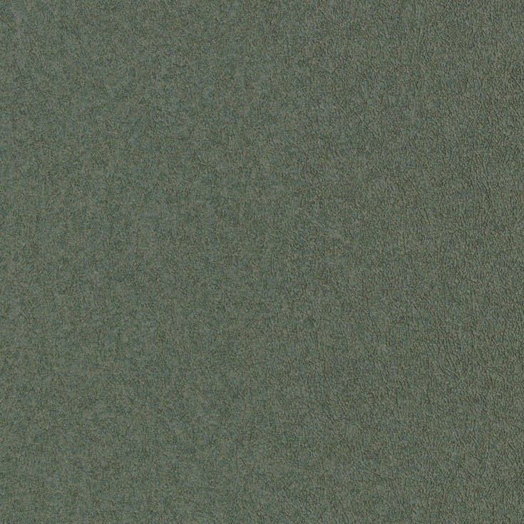 チップ画像