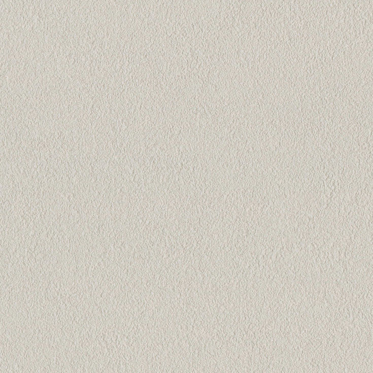 チップ画像