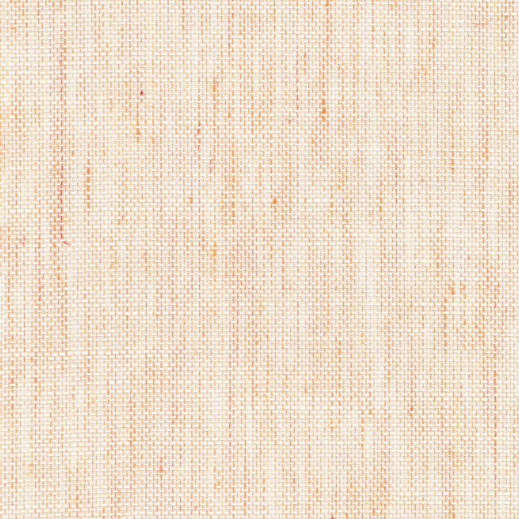 チップ画像